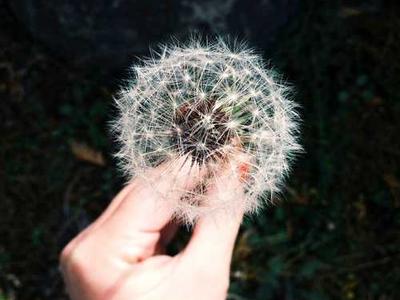 Editorial Content for Mothers and Other Strangers