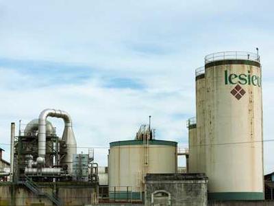 Editorial Content for Cross and Sampson: An Alex Cross and John Sampson Thriller