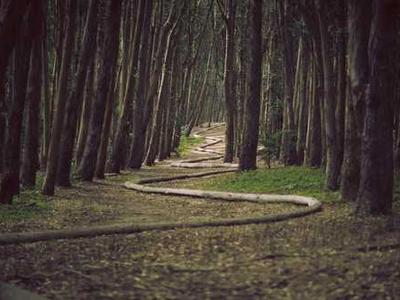 Book Club Questions for Project Hail Mary