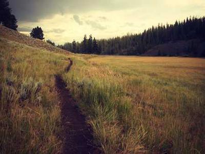 Editorial Content for Crown City: A Japantown Mystery