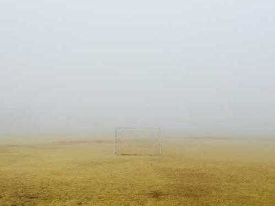 Isola Book Review: Allegra Goodman’s Powerful Story of Resilience