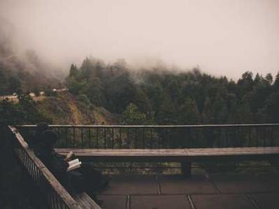 ABIA shortlists, DANZ longlist, Australia Reads up for innovation award