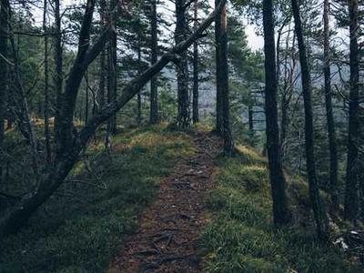 Why Are Book Club Picks Always So Heavy? How About Some Fantasy, Sci-Fi, and Romantasy Instead!