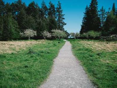 Junior Book Club – this month’s reads