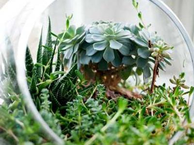 Editorial Content for Trust No One 