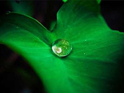 Marketing co-ordinator maternity leave cover, Victoria