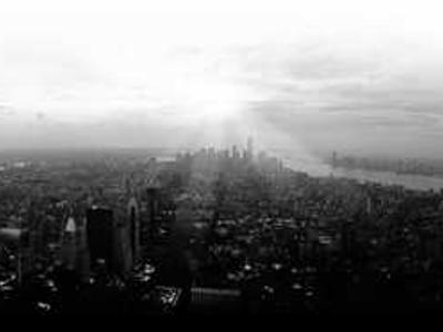 Commissioning editor (identified), Brisbane