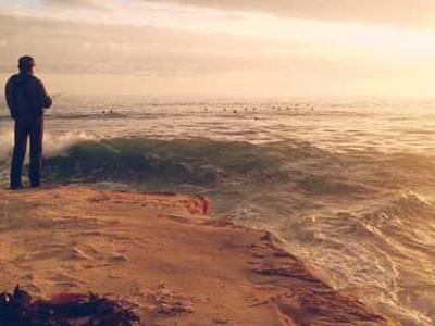 Isola Book Review: Allegra Goodman’s Powerful Story of Resilience