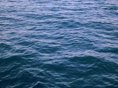 15 Essential Isola Book Club Questions: Discussion Prompts for Allegra Goodman’s Novel