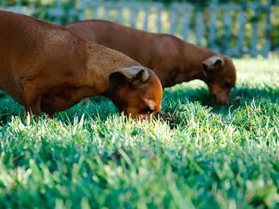 Editorial Content for Trust No One 